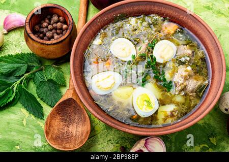 Ukrainische grüner Borschtsch. Borschtsch mit Sauerampfer und Brennnesseln. Ukrainische Küche Stockfoto