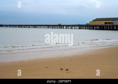 Walton-on-die Naze Essex UK Stockfoto