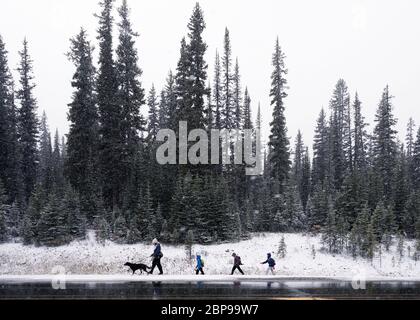 Alberta, Kanada - Sep 27 2019 : Frauen mit Kindern und Hund, die auf einer Seitenstraße in starkem Schneesturm und Pinienwald unterwegs sind Stockfoto