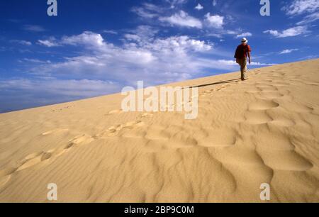 Düne am Strand von Valdevaqueros. Tarifa. Costa de la Luz .Provinz Cadiz.Andalusien.Spanien. Stockfoto