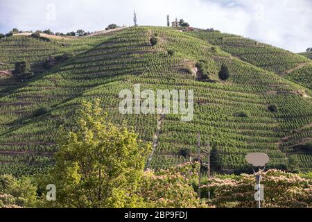 Blick auf die M. Chapoutier Crozes-Hermitage Weinberge in Tain l ' Hermitage, Rhone-Tal, Frankreich Stockfoto