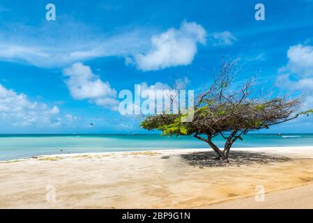 Strand auf Auba in der Karibik Stockfoto