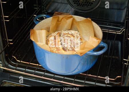 Hausgemachtes Brot. Sauerteig Brot Brot, wie der Ofen geöffnet wird. Stockfoto