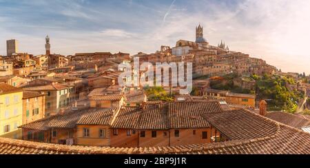 Wunderschöner Panoramablick auf die Altstadt mit Dom und campanile von Siena Kathedrale, Duomo di Siena und Mangia Turm oder Torre del Mangia bei Sonnenuntergang, Siena Stockfoto