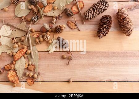 Herbst Hintergrund. Kegel, Eicheln und Stücke Holz auf Holz Hintergrund. Die Aussicht von oben. Stockfoto