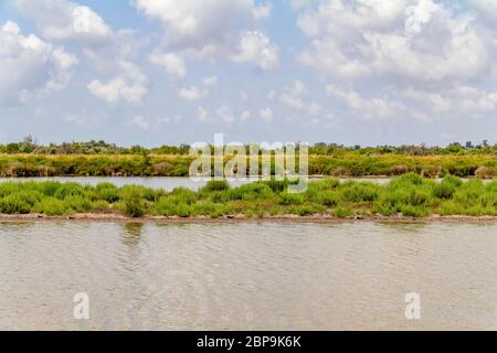 Riparian Landschaft rund um den Regionalen Naturpark der Camargue im Süden Frankreichs Stockfoto