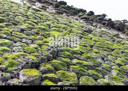 Shore-Sheeting aus groben Steinen. Quadratische, sechseckige Steine sind eng aneinander, um das Ufer vor Erosion zu schützen. Die dunklen Steine sind mit bedeckt Stockfoto