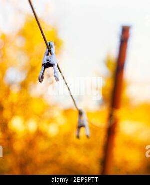 Bügeln Sie Wäscheklammern an einem Seil. Wäschereizubehör. Haushaltsartikel. Trocknen von Kleidung auf der Straße. Die Wäscheklammer ist ein Instrument in der Regel verwendet, um besser Stockfoto