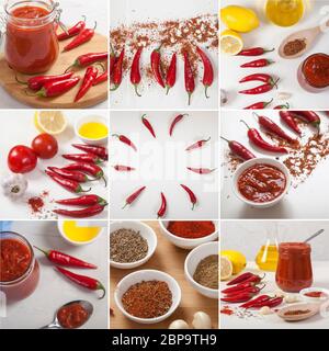 Collage aus Harissa, Gewürzen, Gewürzen, Paprika, Tomaten auf hellem Hintergrund. Würzen. Nationale Küche Stockfoto