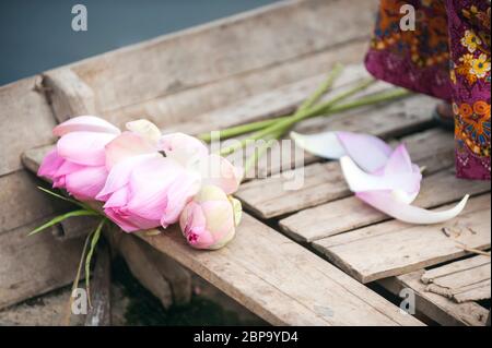 Nelumbo nucifera, Lotusblumen auf einem Flussboot, Kambodscha, Südostasien Stockfoto