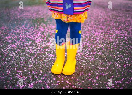Kleines Mädchen mit gelben Gummistiefeln, das nach dem Regen im Park spazieren geht. Kind spielt in Hintergrund Boden von gefallenen Blüten des Baumes. Stockfoto