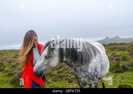 Wildes Camping im Dartmoor National Park - Devon - Großbritannien Stockfoto