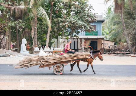 Ein Pony zieht einen Wagen durch das Fabrikdorf Kakaoh. Provinz Battambang, Kambodscha Stockfoto