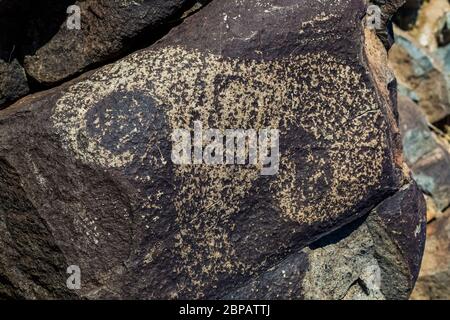 Exquisites Beispiel für Felskunst, die Bighorn Schafe darstellt, vor langer Zeit von Jornada Mogollon Menschen in Three Rivers Petroglyph Site im nördlichen Chi erstellt Stockfoto