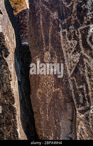 Beispiel für Felskunst, die Tiere zeigt, die vor langer Zeit von Jornada Mogollon Menschen in Three Rivers Petroglyph Site in der nördlichen Chihuahuan Wüste, Ne Stockfoto