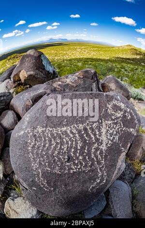 Felskunst, die Bighorn Schafe vor langer Zeit von Jornada Mogollon Menschen in Three Rivers Petroglyph Site, mit Blick auf die Tularosa Basin in der geschaffen Stockfoto