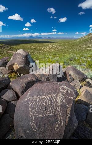 Felskunst, die Bighorn Schafe vor langer Zeit von Jornada Mogollon Menschen in Three Rivers Petroglyph Site, mit Blick auf die Tularosa Basin in der geschaffen Stockfoto