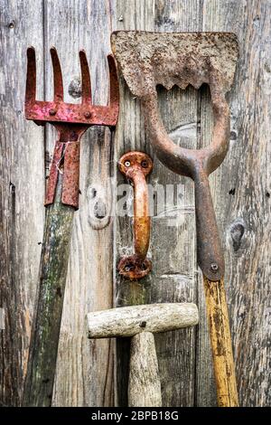 Alte und rostende Gartengeräte, die gegen einen Holzschuppen mit rostigen Türgriff liegen, Ayrshire, Großbritannien Stockfoto