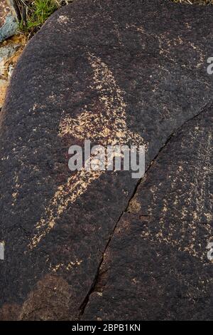 Felskunst, die fliegende Vögel darstellt, die vor langer Zeit von Jornada Mogollon-Menschen am Three Rivers Petroglyph Site in der nördlichen Chihuahuan-Wüste, New Mexi, geschaffen wurden Stockfoto