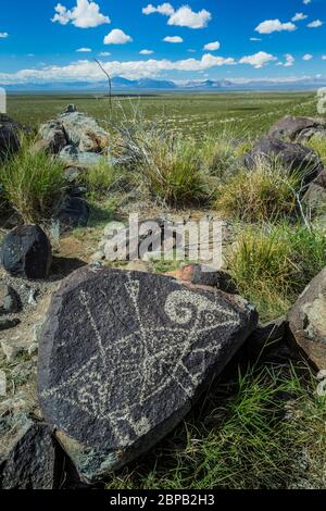 Felskunst, die von Pfeilen durchbohrte Dickhornschafe darstellt, vor langer Zeit von Jornada Mogollon-Leuten am Three Rivers Petroglyph Site geschaffen, mit einer Ansicht acr Stockfoto