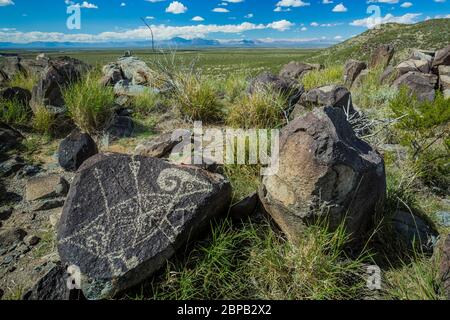 Felskunst, die von Pfeilen durchbohrte Dickhornschafe darstellt, vor langer Zeit von Jornada Mogollon-Leuten am Three Rivers Petroglyph Site geschaffen, mit einer Ansicht acr Stockfoto