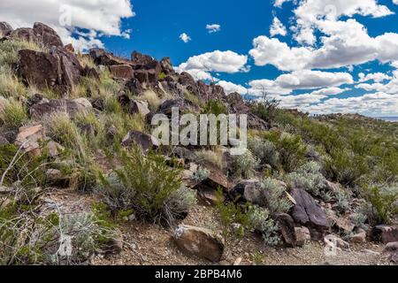 Typische Landschaft mit Felsen und Pinsel in Three Rivers Petroglyph Site in der nördlichen Chihuahuan Wüste, New Mexico, USA Stockfoto