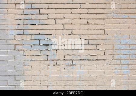 Ziegelwand von James D Coppinger/Dembinsky Photo Assoc Stockfoto