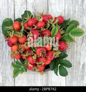 Hagebuttenbeeren Obst Gesundheit Lebensmittel in der Kräutermedizin verwendet in einem kalten & Grippe-Heilmittel trinken, sehr reich an Vitamin C, Anthocyane, Lycopin & antioxidative Stockfoto