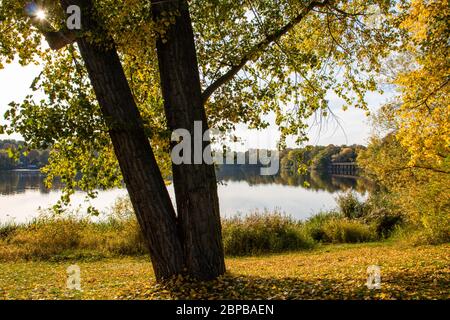 Leipzig Auensee im Herbst, Deutschland Stockfoto