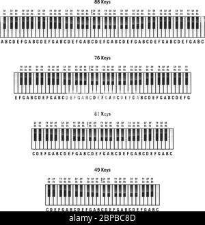 Klaviertastaturen in Standard-Layouts mit 88 Tasten, 76 Tasten, 61 Tasten und 49 Tasten, mit Beschriftungen, isolierte Vektordarstellung Stock Vektor