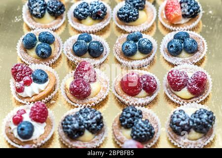 Verschiedene kleine Süßkuchen mit Vanille, Schokolade, Beeren und Zuckerpulver Stockfoto