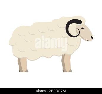 Vektor des RAM-Symbols. Schafe isoliert auf einem weißen Hintergrund. Nutztier, Tierhaltung Illustration. Eid al fitr, Eid al adha-Symbol Stock Vektor