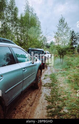 Drei suv-Autos auf Schlamm off Road Trail im Wald Stockfoto