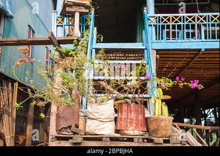 Pflanzen in Töpfen auf dem Balkon eines Hauses. Kampong Phluk, Provinz Siem Reap, Nord-Zentral-Kambodscha, Südostasien Stockfoto