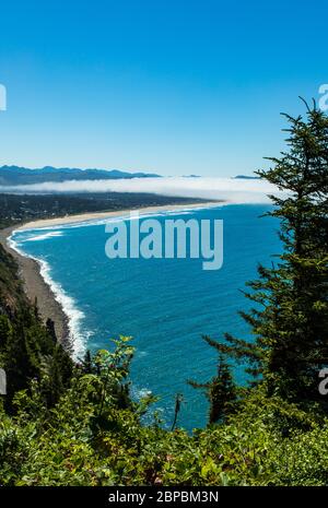 Vertikales Foto - Blick auf die zerklüftete Küste in Oregon mit Nebel in der Ferne an Land. Stockfoto