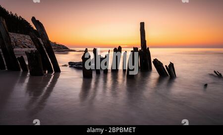 Holzpfähle auf der Ostsee während Sonnenuntergang Karwia Dorf, Polen Stockfoto