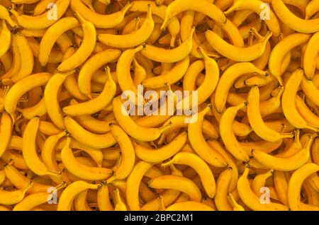 Hintergrund von Bananen, Draufsicht. 3D-Rendering Stockfoto