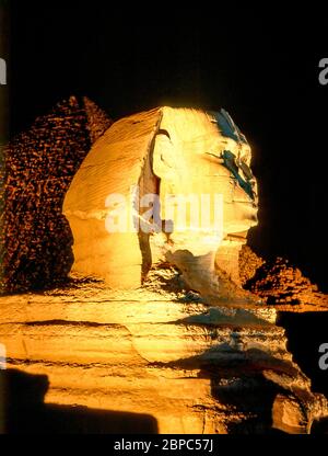 Die große Sphinx von Gizeh in der Nacht (Sohn-et-lumiere), Gizeh, Gizeh Governate, Republik Ägypten Stockfoto