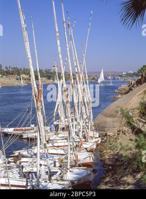 Feluccas am Westufer des Nils bei Assuan, Assuan, Regierungsamt, Republik Ägypten Stockfoto