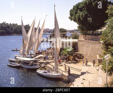 Feluccas am Westufer des Nils bei Assuan, Assuan, Regierungsamt, Republik Ägypten Stockfoto