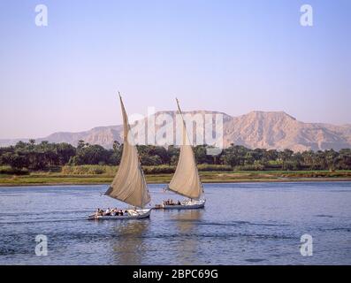 Feluccas am Nil, Luxor, Luxor Governorate, Republik Ägypten Stockfoto