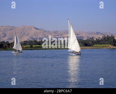 Feluccas am Nil, Luxor, Luxor Governorate, Republik Ägypten Stockfoto