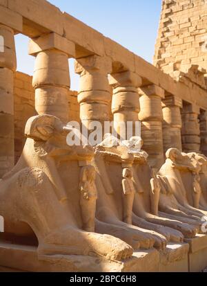 Reihe von Widder-Kopf-Sphinxes zwischen dem 1. Und 2. Pylons, Karnak Tempel Komplex, El-Karnak, Karnak Governorate, Republik Ägypten Stockfoto