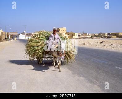 Lokaler Mann reitet Eselskarre auf der Straße nach Luxor, Luxor Governorate, Republik Ägypten Stockfoto