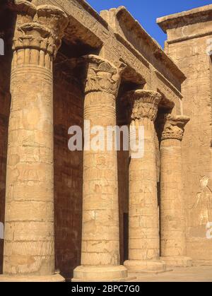 Säulen im Hof im Tempel des Horus, Edfu, Assuan Governorate, Ägypten Stockfoto