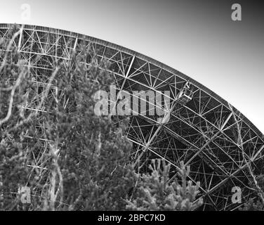 Alien Raumschiff landet den Wald Hintergrund Stockfoto