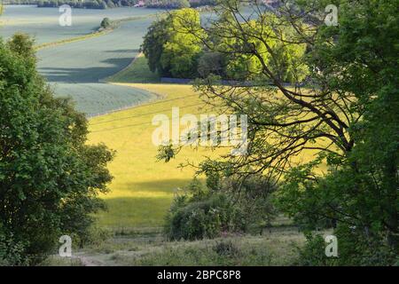 Blick südlich von Polhill Bank, einem SSSI auf Kreidefelge von North Downs in der Nähe von Dunton Green, Shoreham und Otford/Sevenoaks, Kent. Stockfoto