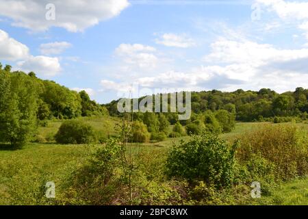 Elster Boden in der Nähe von Shoreham und Otford/Sevenoaks, Kent, England im Mai. Rewilded Bereich der North Downs Kreideberge mit Wildblumen und Biodiversität Stockfoto