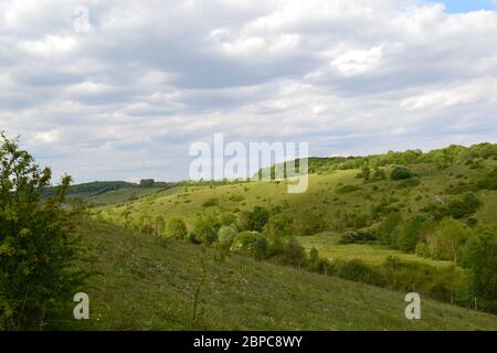 Elster Boden in der Nähe von Shoreham und Sevenoaks, Kent von Austin Spring, England im Mai gesehen. North Downs Kreidehügel mit Wildblumen und Biodiversität Stockfoto