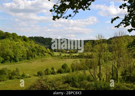 Elster Boden in der Nähe von Shoreham und Sevenoaks, Kent von Austin Spring, England im Mai gesehen. North Downs Kreidehügel mit Wildblumen und Biodiversität Stockfoto